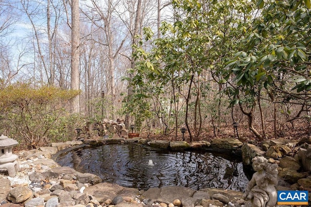 water view with a forest view