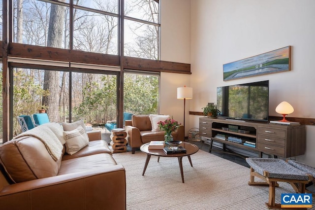 living area with a high ceiling