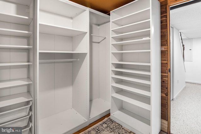 view of spacious closet