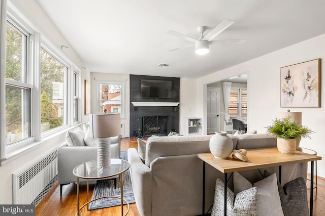 living room featuring a brick fireplace, radiator, wood finished floors, and ceiling fan