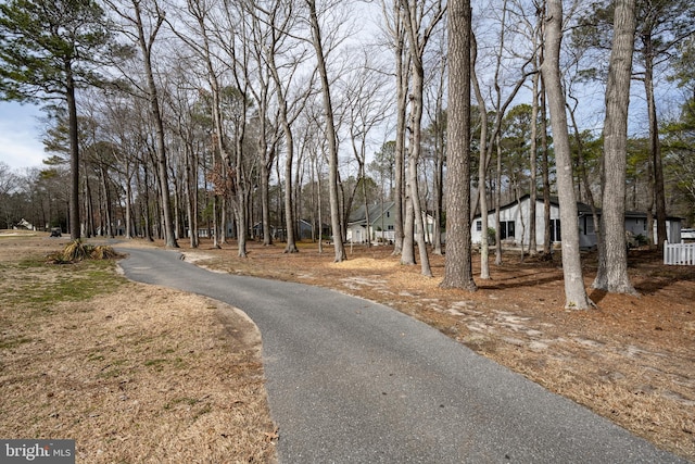 view of street with driveway