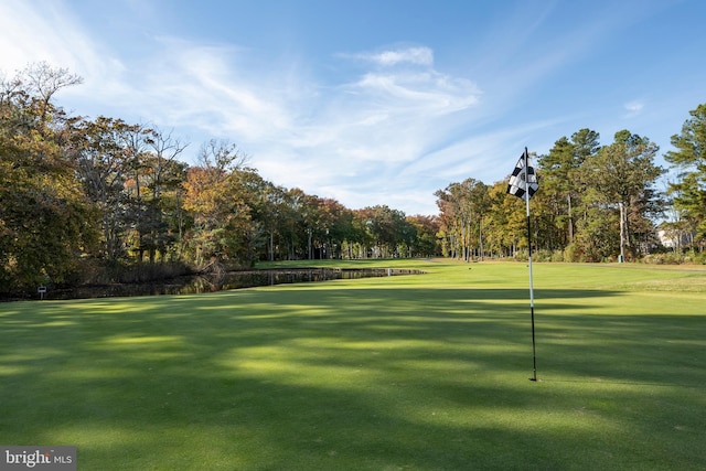 view of property's community featuring a lawn