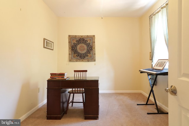 office area featuring baseboards and carpet flooring