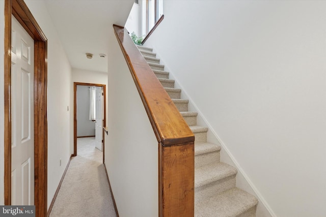 staircase featuring baseboards and carpet floors