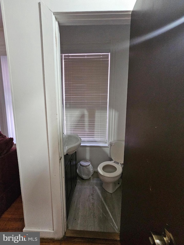 bathroom featuring toilet, wood finished floors, and vanity