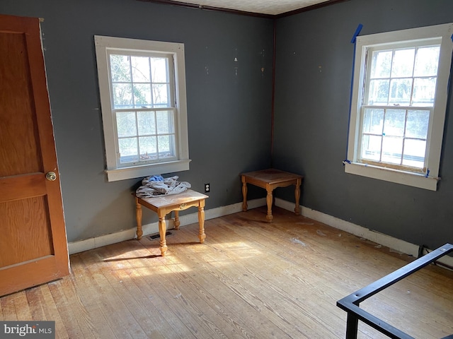 interior space with light wood finished floors, plenty of natural light, and baseboards