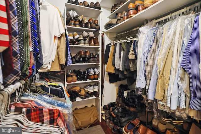 view of walk in closet