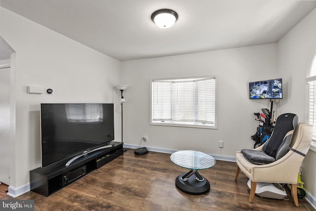 sitting room featuring a healthy amount of sunlight, baseboards, and wood finished floors