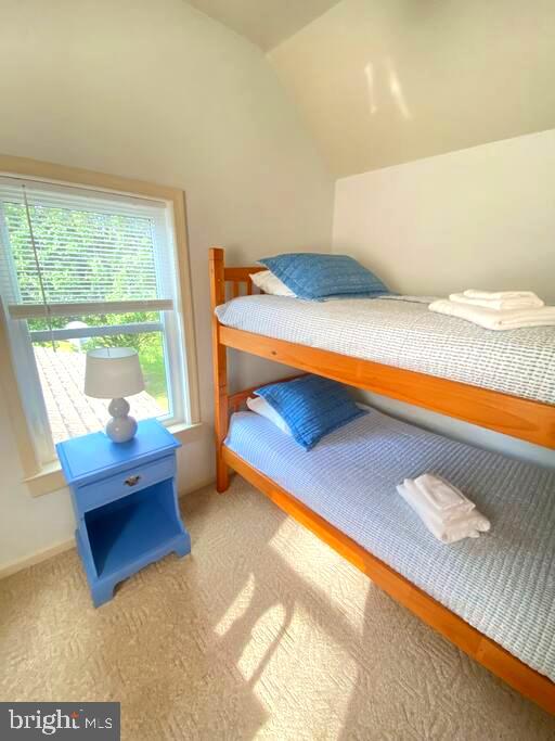 bedroom with lofted ceiling