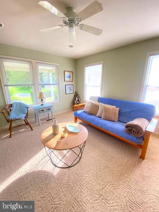 carpeted living room featuring plenty of natural light, ceiling fan, and baseboards