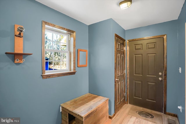 foyer entrance featuring wood finished floors