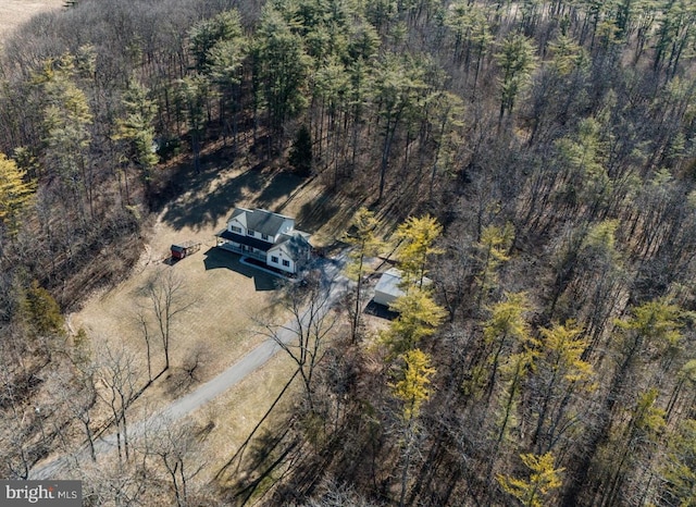 bird's eye view with a forest view