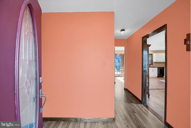 entrance foyer featuring wood finished floors and baseboards