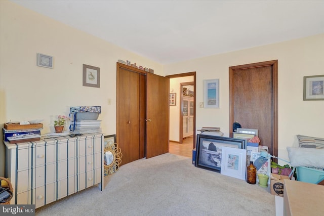 interior space with light colored carpet