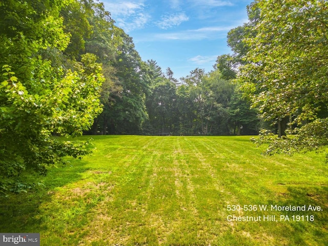 view of yard with a forest view