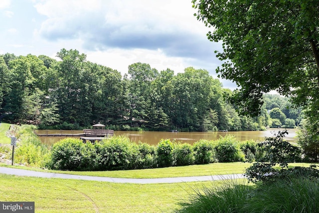 11905 Champion Lake Ct, Herndon, VA 20170 - water view with a heavily wooded area
