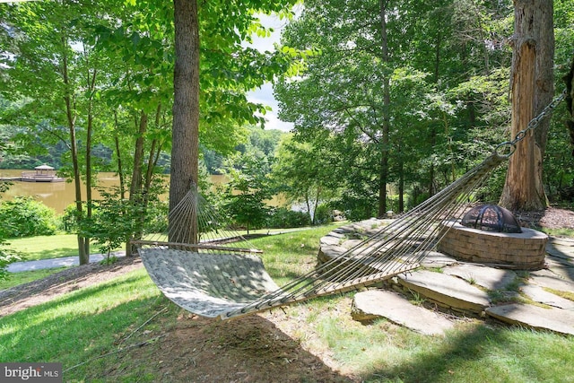 11905 Champion Lake Ct, Herndon, VA 20170 - view of yard featuring a fire pit