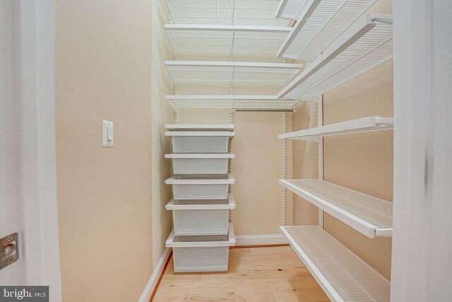 walk in closet featuring wood finished floors