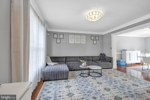 living area featuring crown molding and wood finished floors