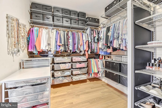 walk in closet featuring wood finished floors