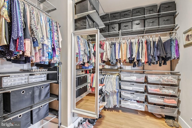 walk in closet featuring wood finished floors