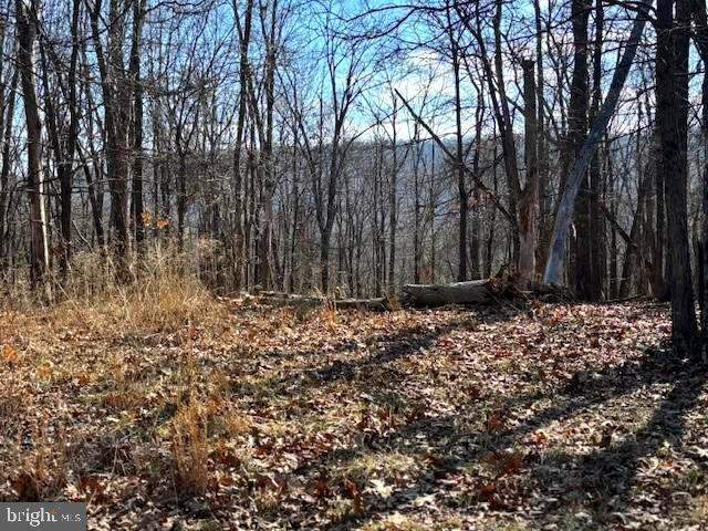 Listing photo 2 for 6 Noland Ridge Dr, Slanesville WV 25444