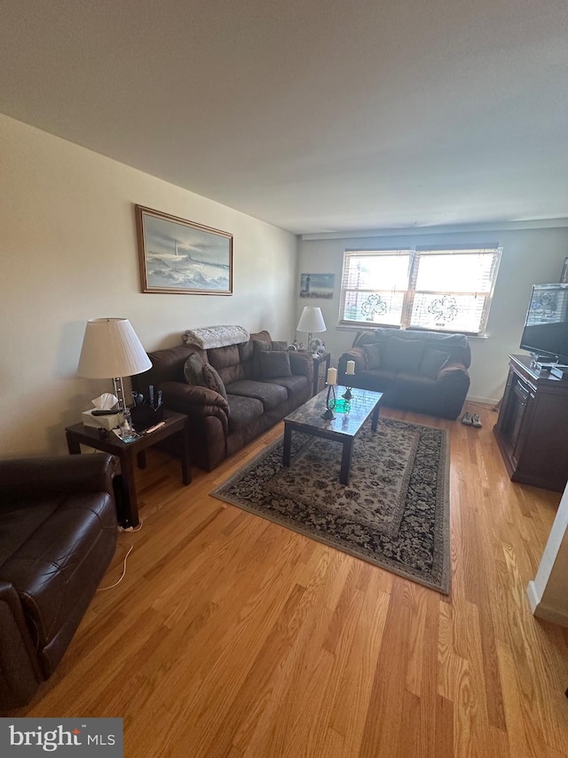 living room with light wood-style flooring