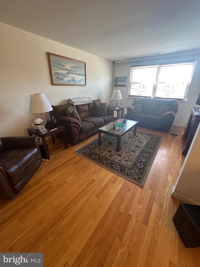 living room with light wood-style floors