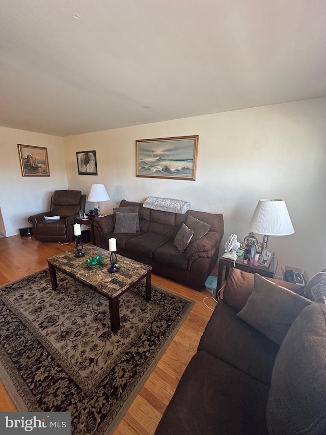 living room with light wood-type flooring