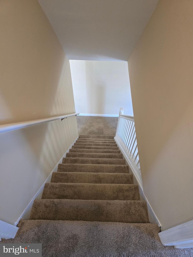 staircase featuring carpet flooring