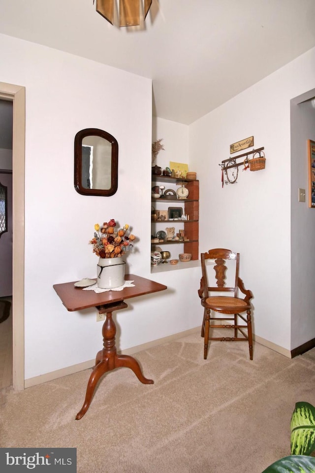 living area with baseboards and carpet floors