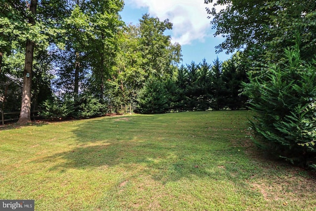 view of yard