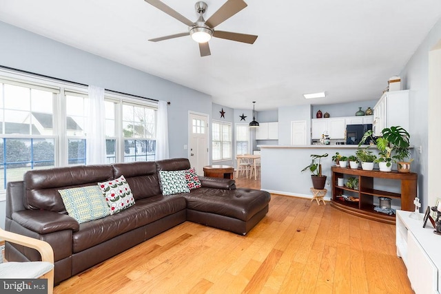 living area featuring a ceiling fan and light wood-type flooring