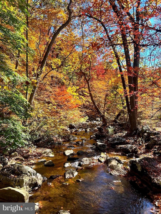 view of local wilderness featuring a wooded view