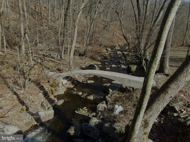 view of local wilderness