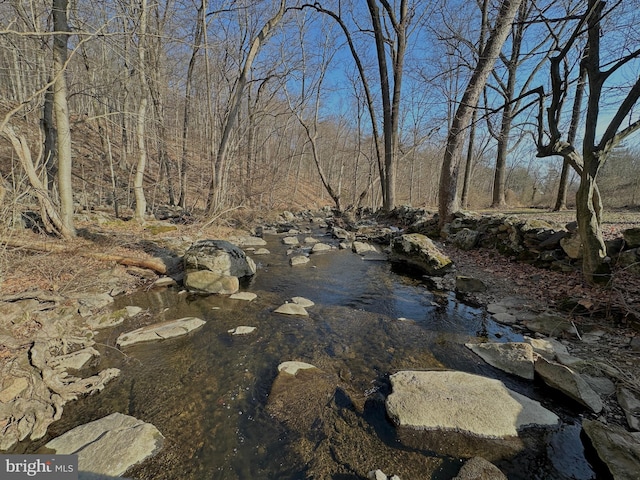 view of yard featuring a wooded view