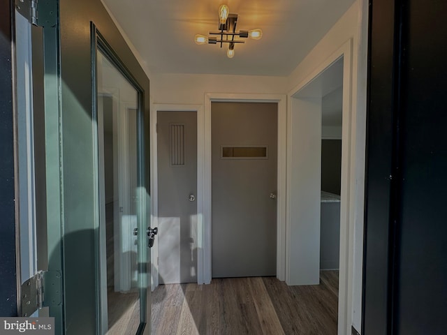 hallway with wood finished floors