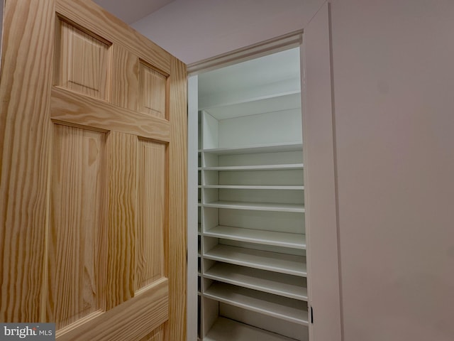 view of closet