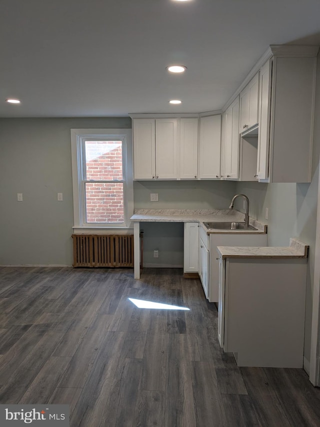 kitchen featuring dark wood-type flooring, radiator, light countertops, and a sink