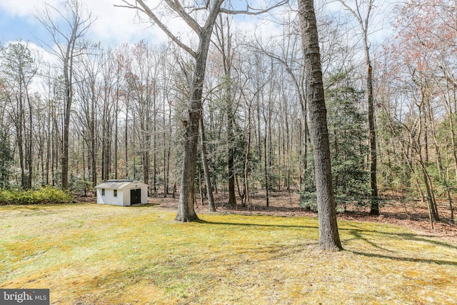 13360 Fredericksburg Tpke, Woodford, VA 22580 - view of yard featuring a shed, an outbuilding, and a view of trees