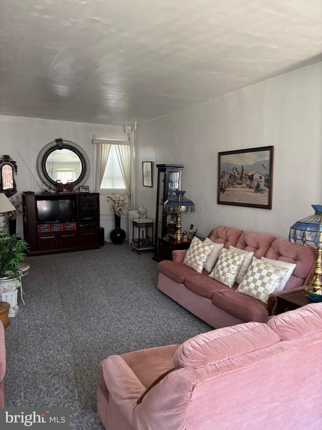 living area featuring carpet