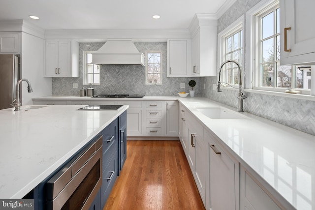 kitchen with white cabinetry, custom exhaust hood, stainless steel appliances, and a sink