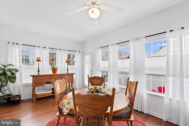 dining area featuring ceiling fan, a healthy amount of sunlight, and hardwood / wood-style floors