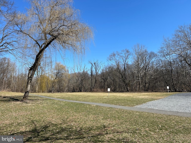 view of yard with a view of trees