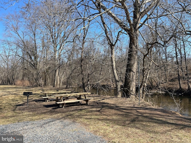 view of home's community featuring a view of trees