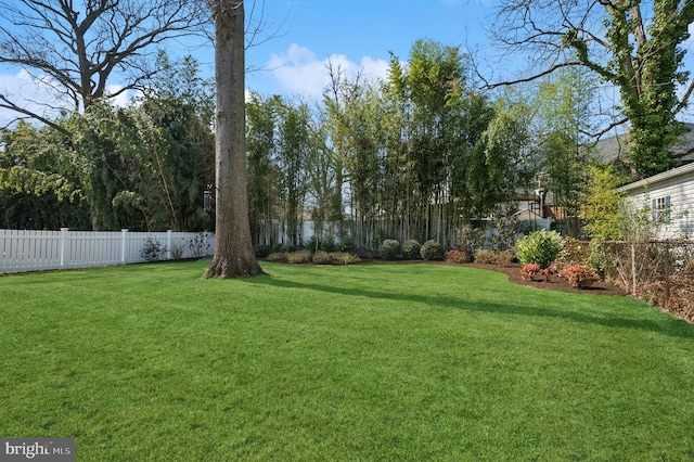 view of yard featuring a fenced backyard