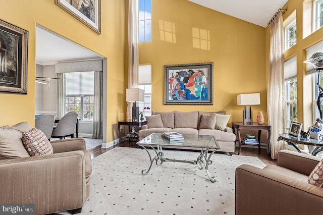 living room with baseboards, a towering ceiling, and wood finished floors