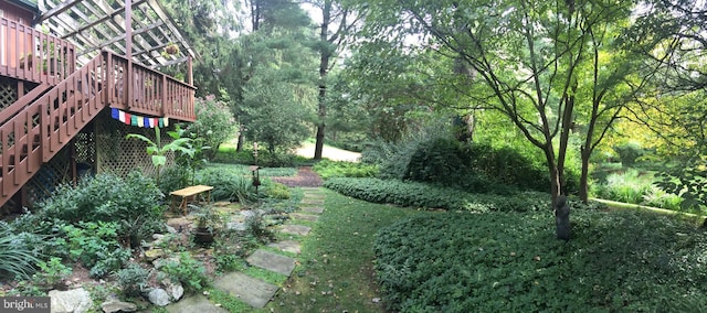 view of yard featuring a deck and stairway