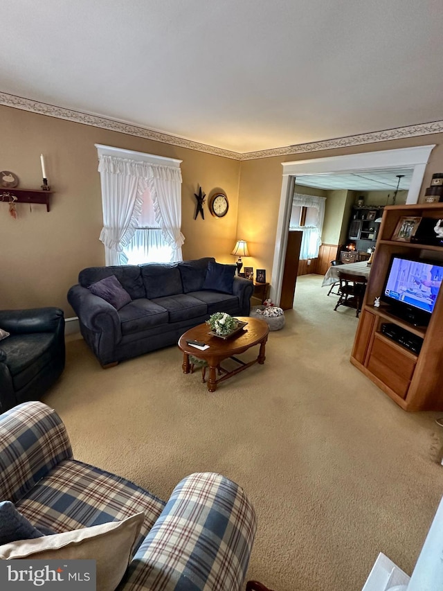 view of carpeted living area