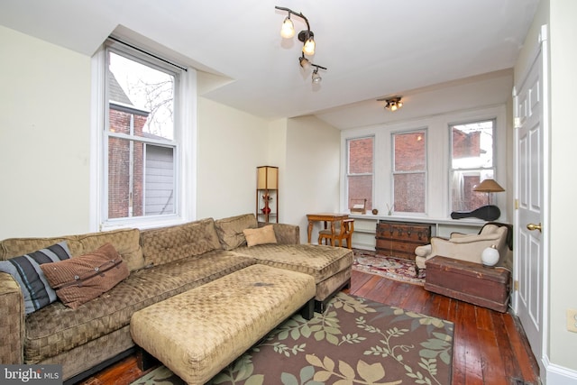 living room with hardwood / wood-style floors, track lighting, and plenty of natural light